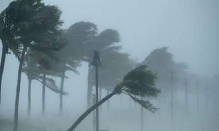 BMKG Kota Malang Menghimbau Warga akan Cuaca Ekstrem