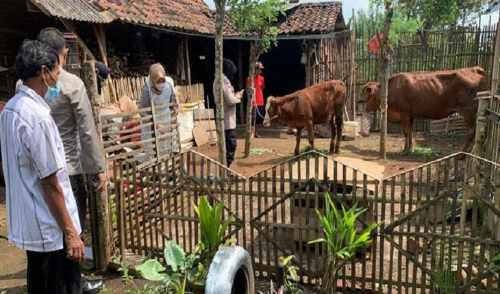 Pemkot Malang Tangani Wabah PMK di Wilayah Lesanpuro