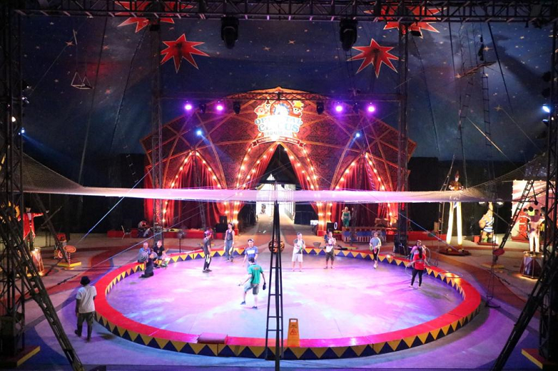 Baru! Museum Sirkus Pertama di Indonesia, Ada di Taman Safari Prigen