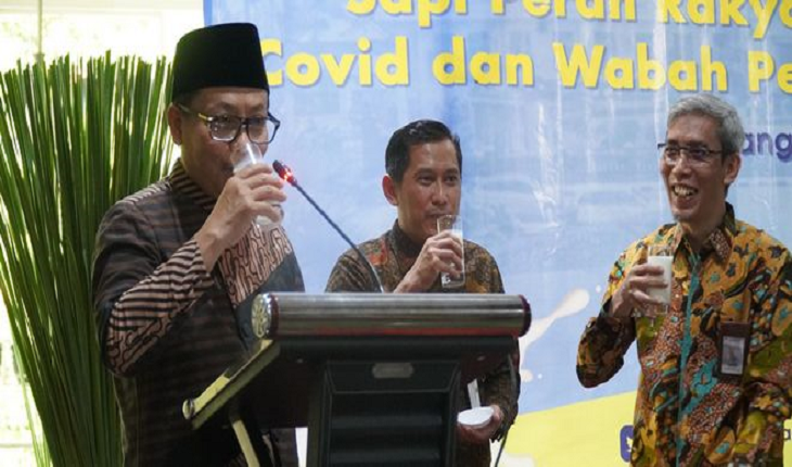 Bangun Resilience Peternakan Sapi Perah di Hari Susu Nasional